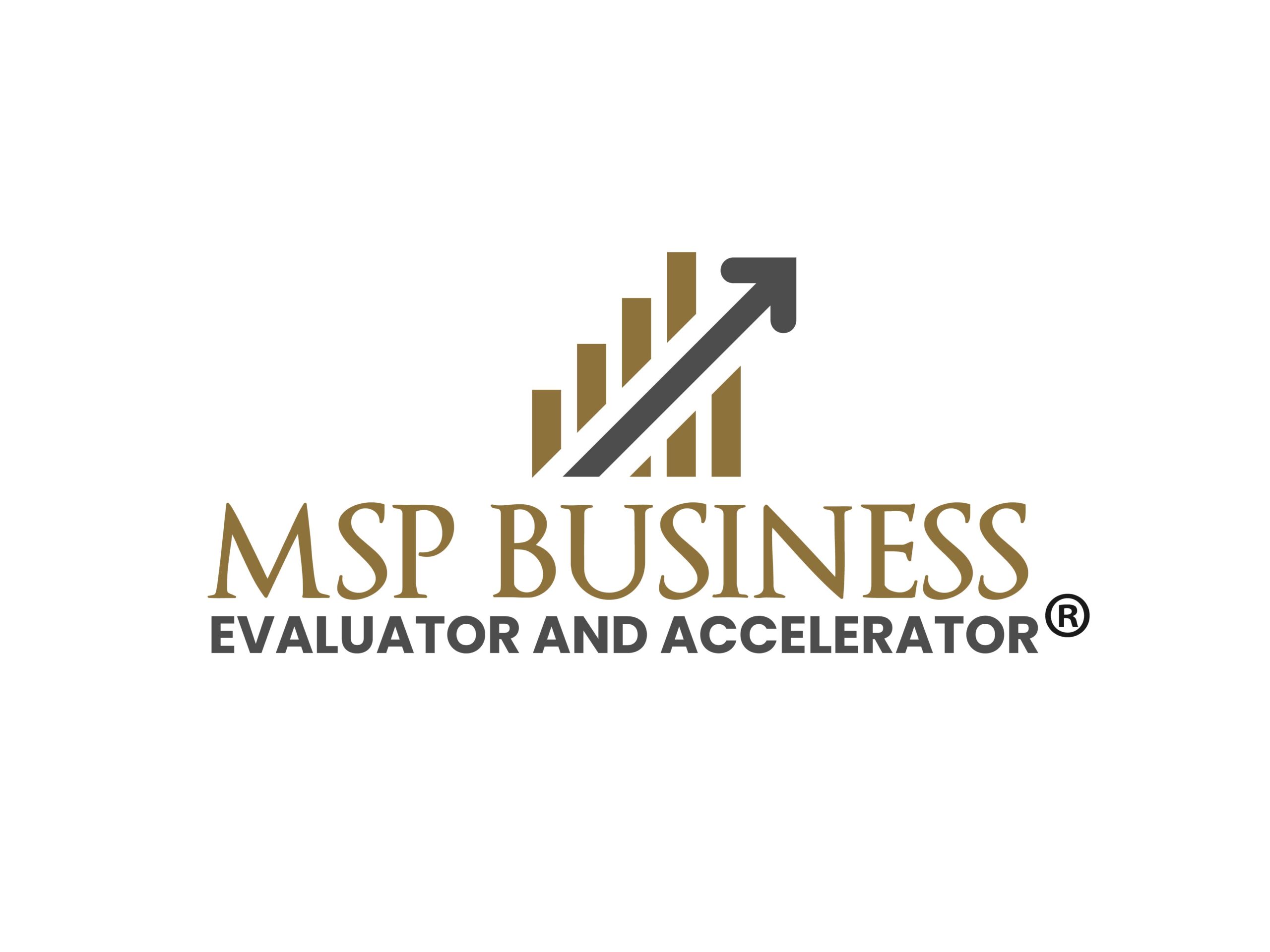 MSP Business Evaluator and Accelerator-02